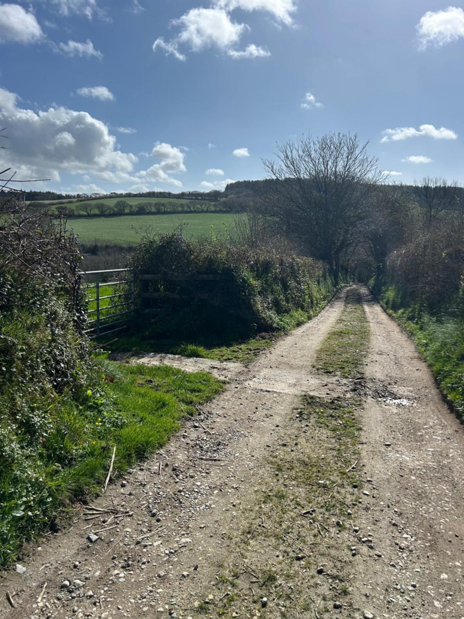 Meadowside Cottage, Characterful Grade 2 Listed Cottage Near To Wadebridge And Padstow Exterior foto